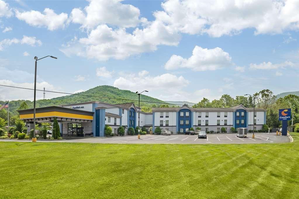 Comfort Inn Asheville East-Blue Ridge Pkwy Access Exterior foto